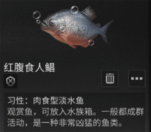 《明日之后》新增2种观赏鱼，这种鱼会吃同类，建议隔离！