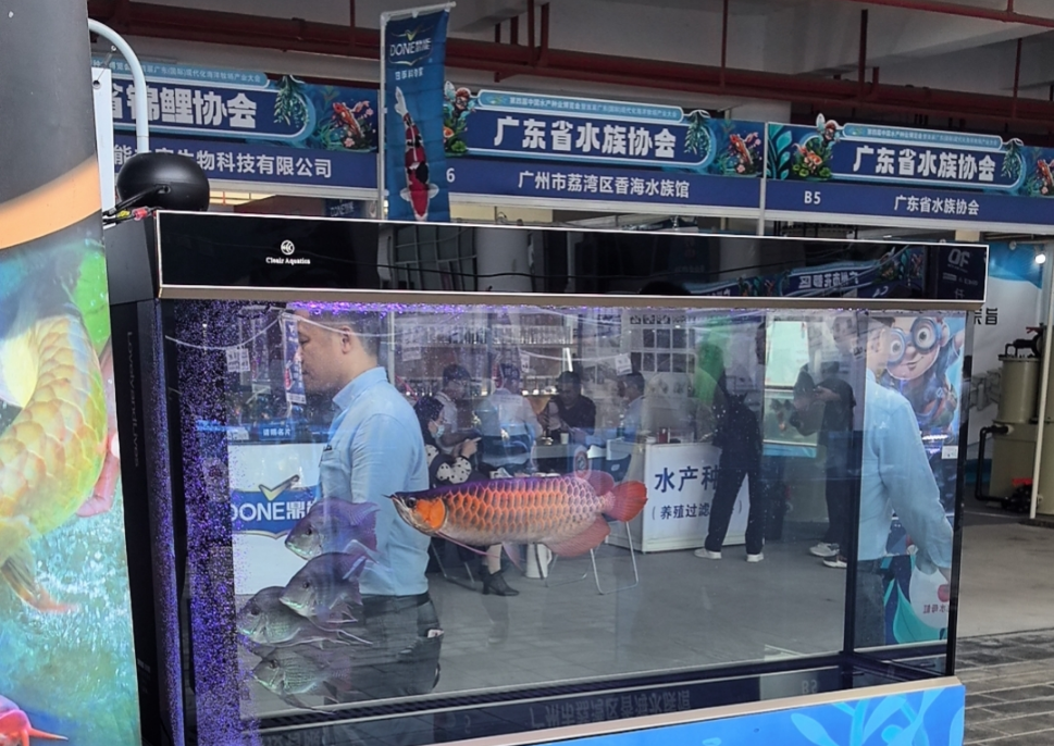 渔趣渔乐：中国水产种业博览会成功举办！这里能一次打卡国内最齐全观赏鱼养殖品种！