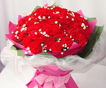 送给老人适合花的礼物_适合送给老人的花_送给老人适合花束的花