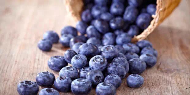 猫吃蓝莓可以长胖吗_猫可以吃蓝莓吗_猫吃蓝莓可以驱虫吗